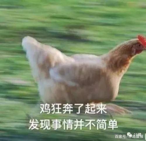 地鐵安檢不允許帶活雞，大媽接下來的行為，把地鐵的小姐姐嚇壞了